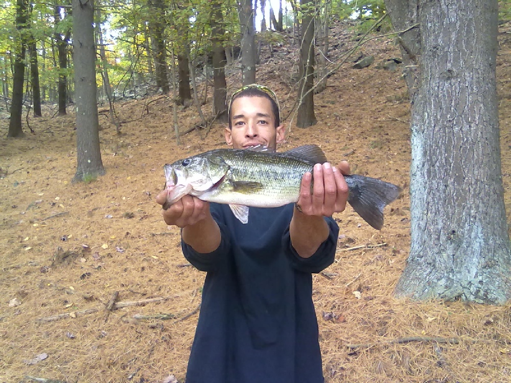 large mouth bass