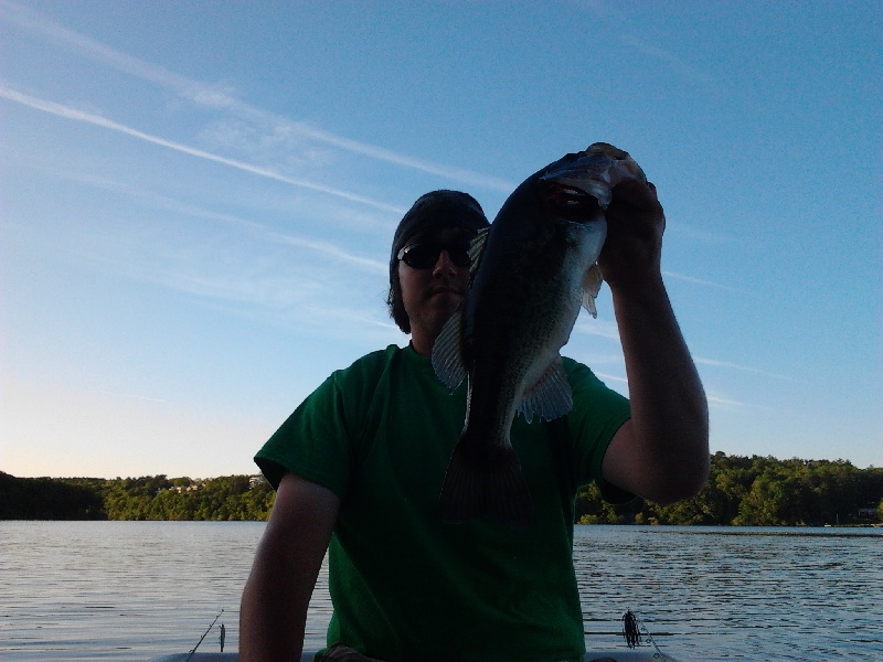 Nice bassy