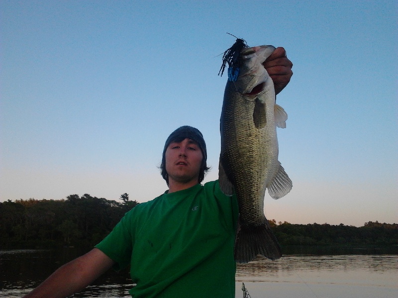 BASSIN!