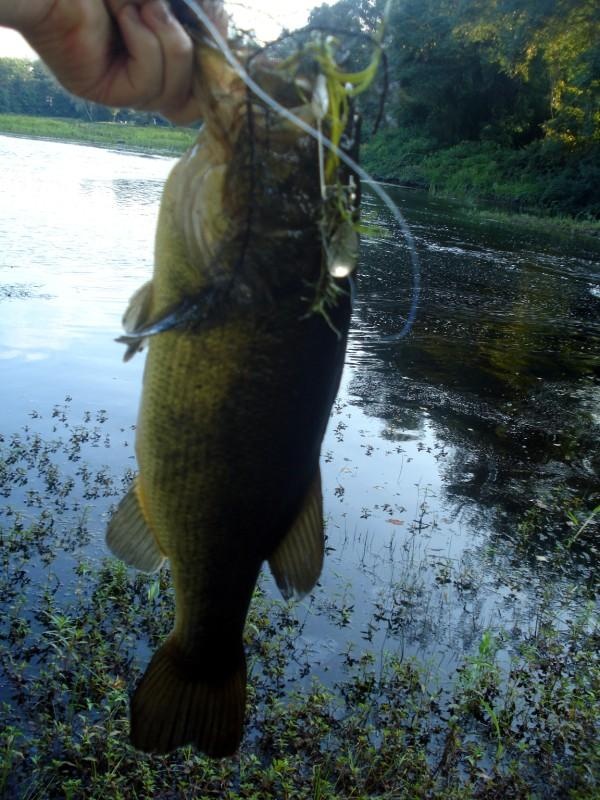 Lake Sabbatia tailwater area